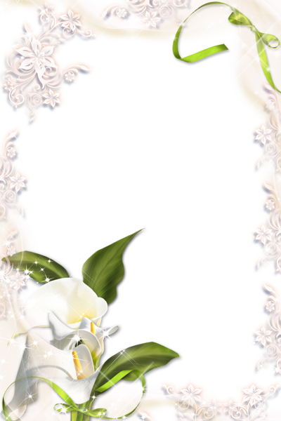 This png image - Transparent Calla Lily PNG Photo Frame, is available for free download
