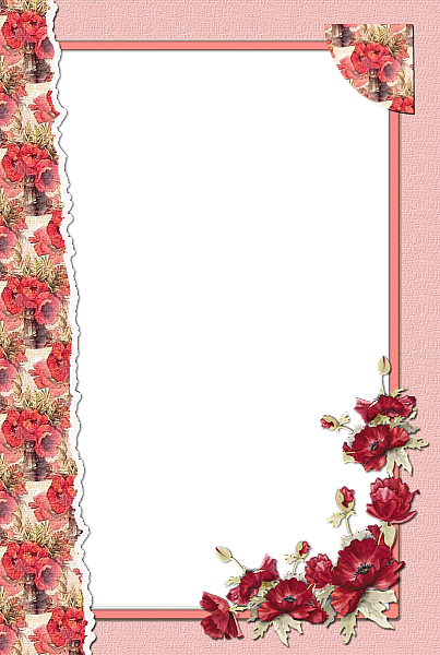 This png image - Transparent Flower Red Frame, is available for free download