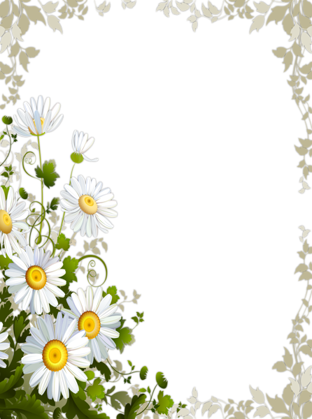 This png image - Transparent Frame with Daisies, is available for free download