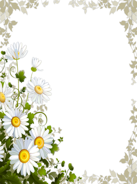 Transparent Frame with Daisies | Gallery Yopriceville - High-Quality