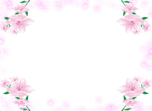 Transparent Frame with Pink Soft Flowers | Gallery ...