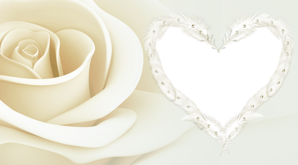 Transparent Frame with Rose | Gallery Yopriceville - High-Quality Free