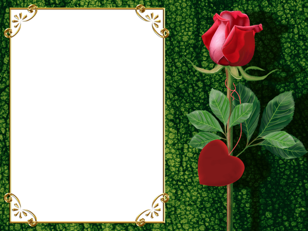 This png image - Transparent Green PNG Photo Frame with Rose and Heart, is available for free download