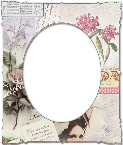 This png image - Transparent PNG Paper Frame with Orchids, is available for free download