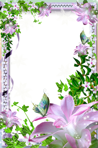 This png image - Transparent PNG Photo Frame with Pink Lilies, is available for free download