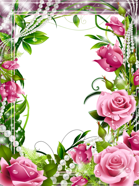 This png image - Transparent PNG Photo Frame with Pink Roses, is available for free download