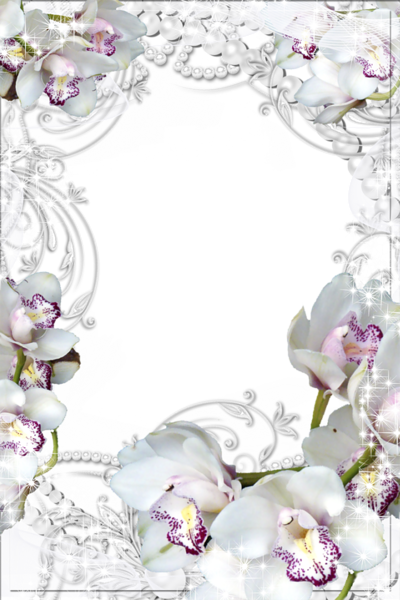 This png image - Transparent PNG Photo Frame with White Orchids, is available for free download