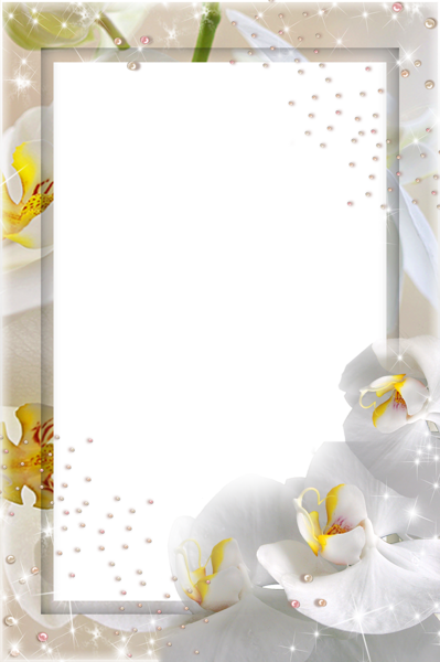 This png image - Transparent Photo Frame with White Orchids, is available for free download