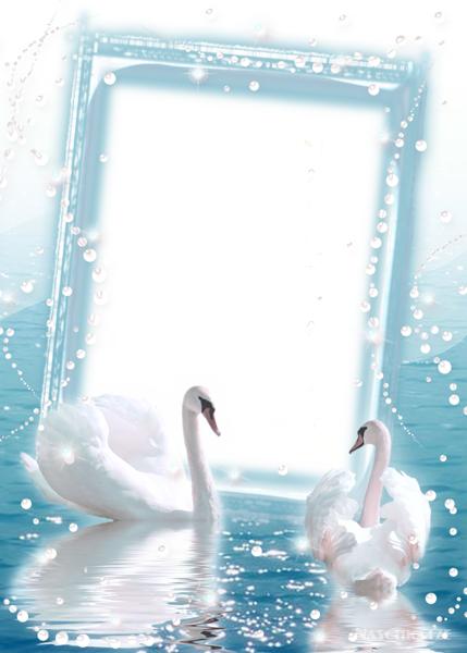 This png image - Transparent Photo Frame with two Swans, is available for free download
