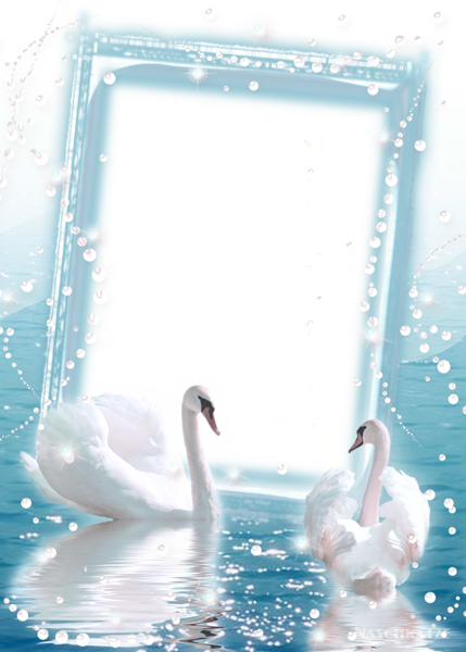 transparent photo frame with two swans gallery tablet transparent png