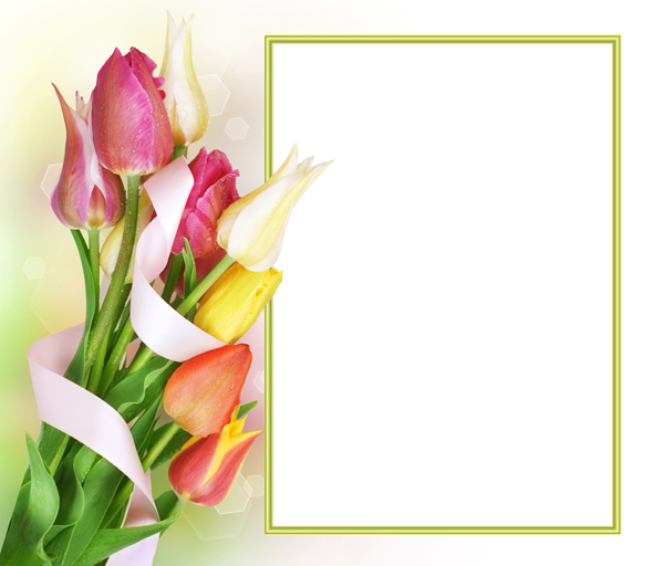 This png image - Tulips Transparent PNG Photo Frame, is available for free download