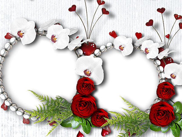 This png image - White Tansparent Frame Roses and Flowers, is available for free download