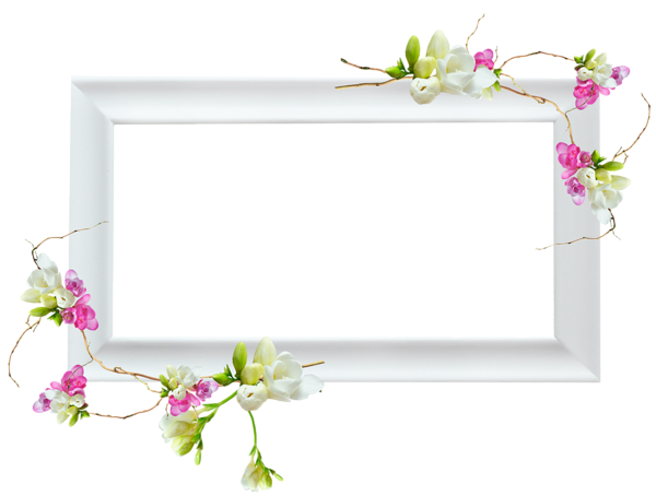 This png image - White Transparent Frame with Pink Flowers, is available for free download