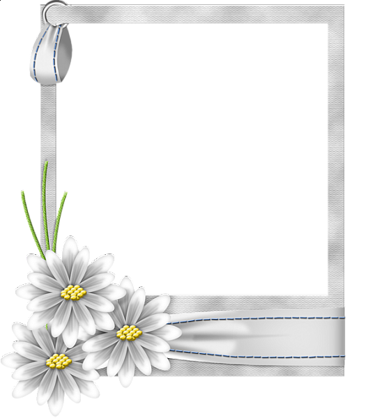 This png image - flo-frame-white, is available for free download