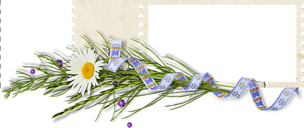 This png image - flower-frame, is available for free download