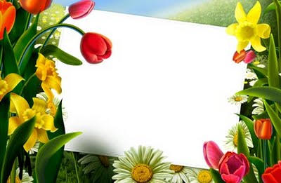 This jpeg image - flowers frame, is available for free download