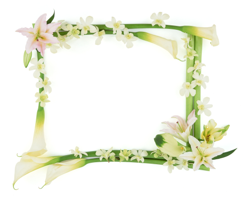 This png image - photo frame 256, is available for free download
