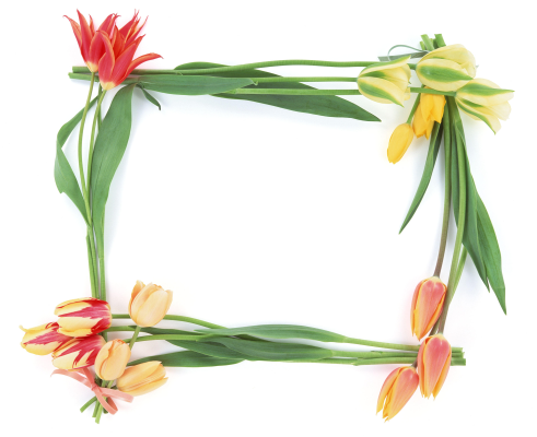 This png image - photo frame 257, is available for free download