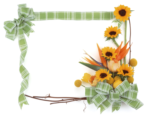 This png image - photo frame 258, is available for free download