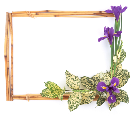 This png image - photo frame 259, is available for free download