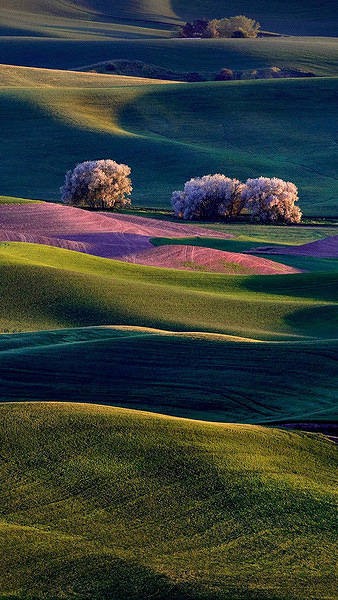 This jpeg image - Colorful Valley Full HD Smartphone Wallpaper, is available for free download