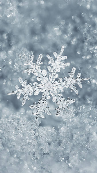 This jpeg image - Ice Snowflake iPhone 7 Plus Wallpaper, is available for free download