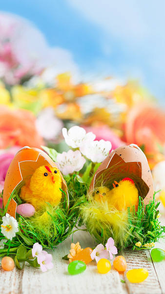 This jpeg image - iPhone 6S Plus Easter Wallpaper, is available for free download