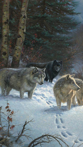 This jpeg image - iPhone 6S Plus Wolfs Winter Wallpaper, is available for free download