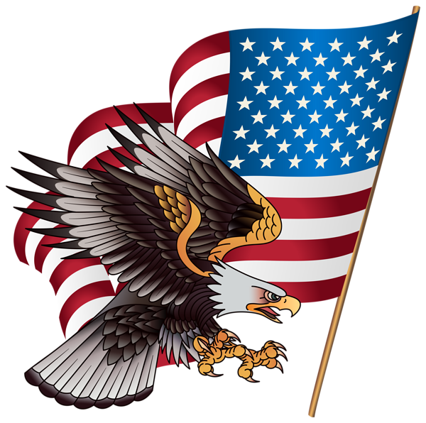 This png image - American Eagle Transparent PNG Clip Art Image, is available for free download