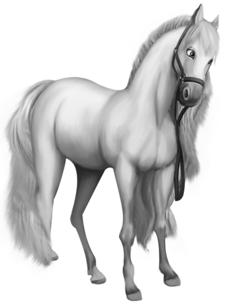 This png image - Beautiful Transparent White Horse, is available for free download