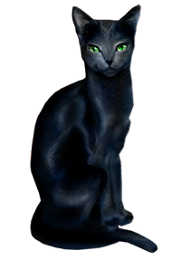 This png image - Black Cat Clipart, is available for free download