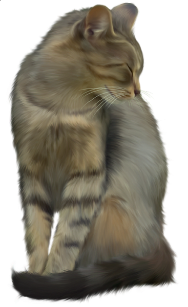 This png image - Cat Clipart, is available for free download