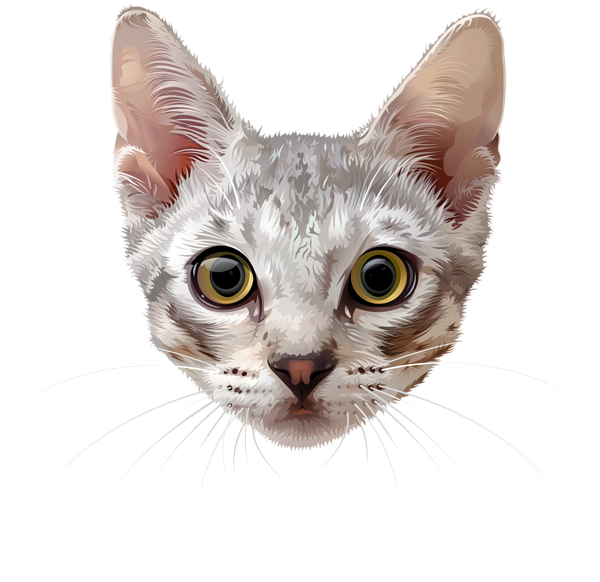 This png image - Cat Face PNG Clip Art Image, is available for free download
