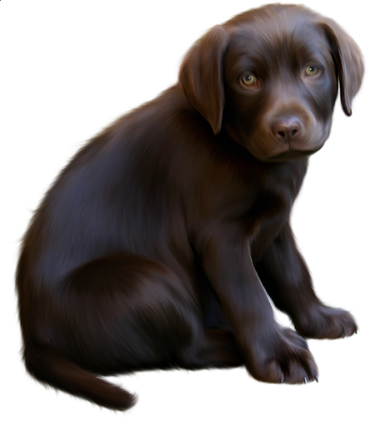 This png image - Cute Little Brown Dog with Blue Eyes Clipart, is available for free download