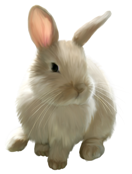 This png image - Cute Painted Bunny PNG Picture Clipart, is available for free download