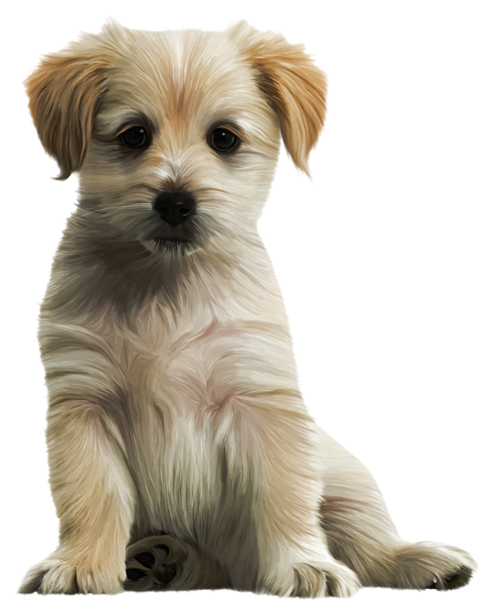 This png image - Cute Puppy PNG Clipart Image, is available for free download