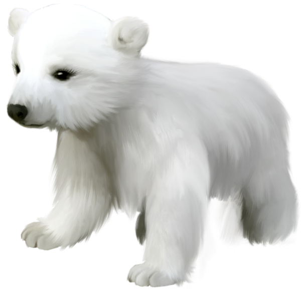 This png image - Cute Small Polar Bear PNG Clipart, is available for free download