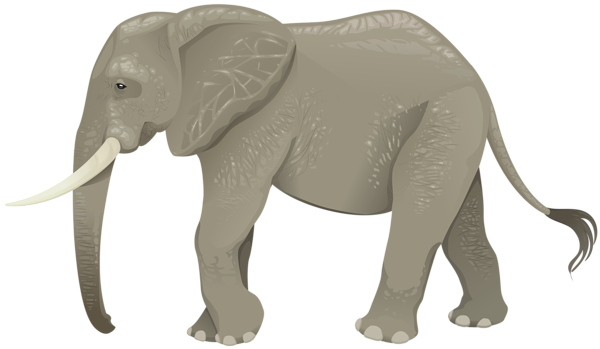 This png image - Elephant Transparent PNG Clip Art Image, is available for free download