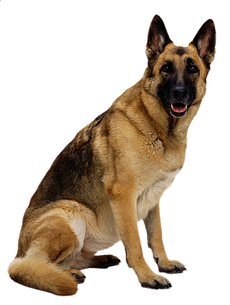 This png image - German Shepherd Clipart, is available for free download