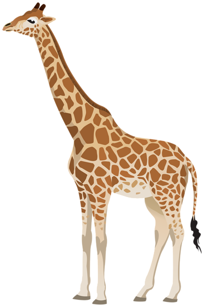 This png image - Giraffe Clipart Image, is available for free download