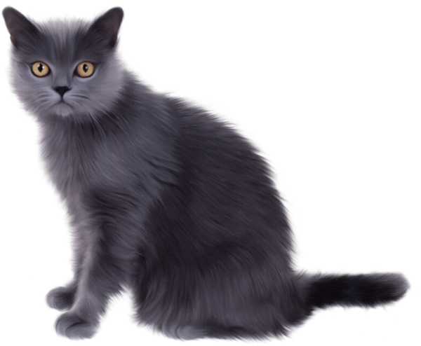 This png image - Grey Cat Clipart, is available for free download