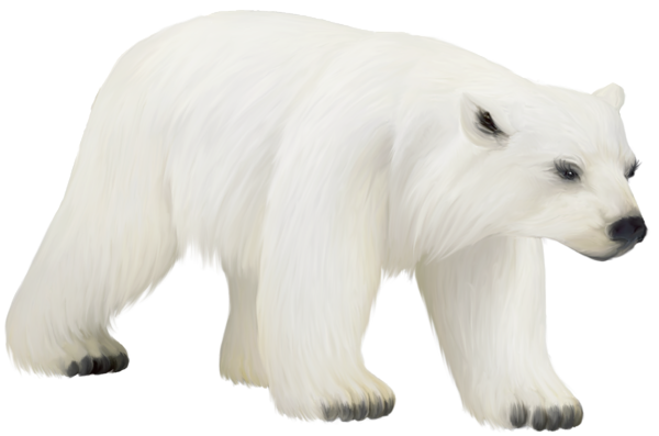 This png image - Large Painted PNG Polar Bear Clipart, is available for free download