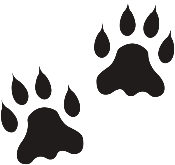 This png image - Lion Paws Clip Art Image, is available for free download