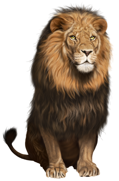 This png image - Lion Transparent PNG Clip Art Image, is available for free download