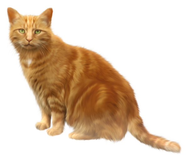This png image - Orange Cat Transparent PNG Clipart, is available for free download