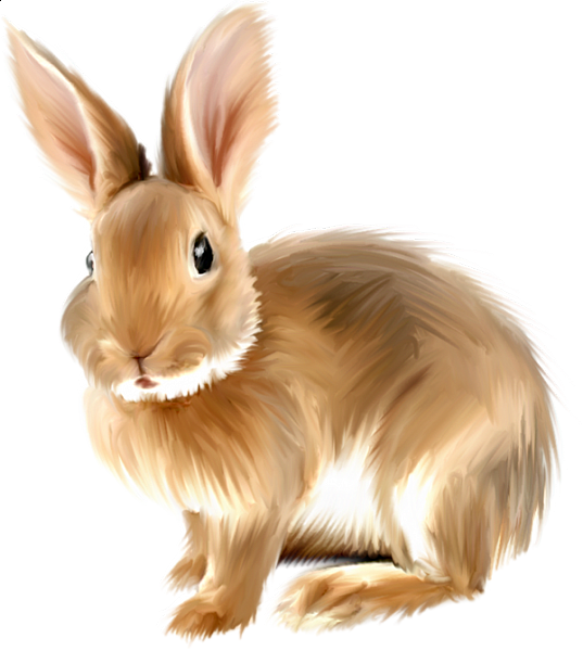 This png image - Painted Bunny Clipart.png, is available for free download