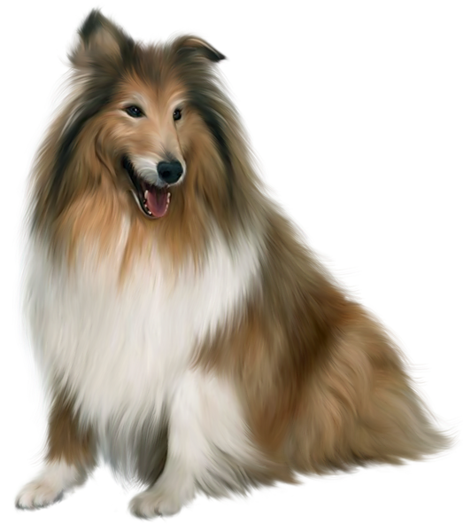 This png image - Painted Scotch Collie Dog PNG Picture Clipart, is available for free download