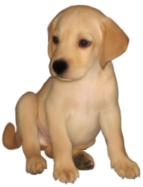 This png image - Painted Small Yellow Labrador Retriever PNG Picture, is available for free download