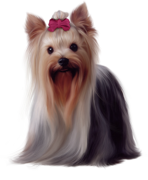 This png image - Painted Yorkshire Terrier PNG Picture, is available for free download