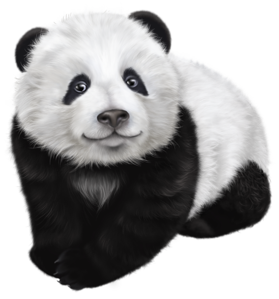 This png image - Panda Transparent Clip Art Image, is available for free download